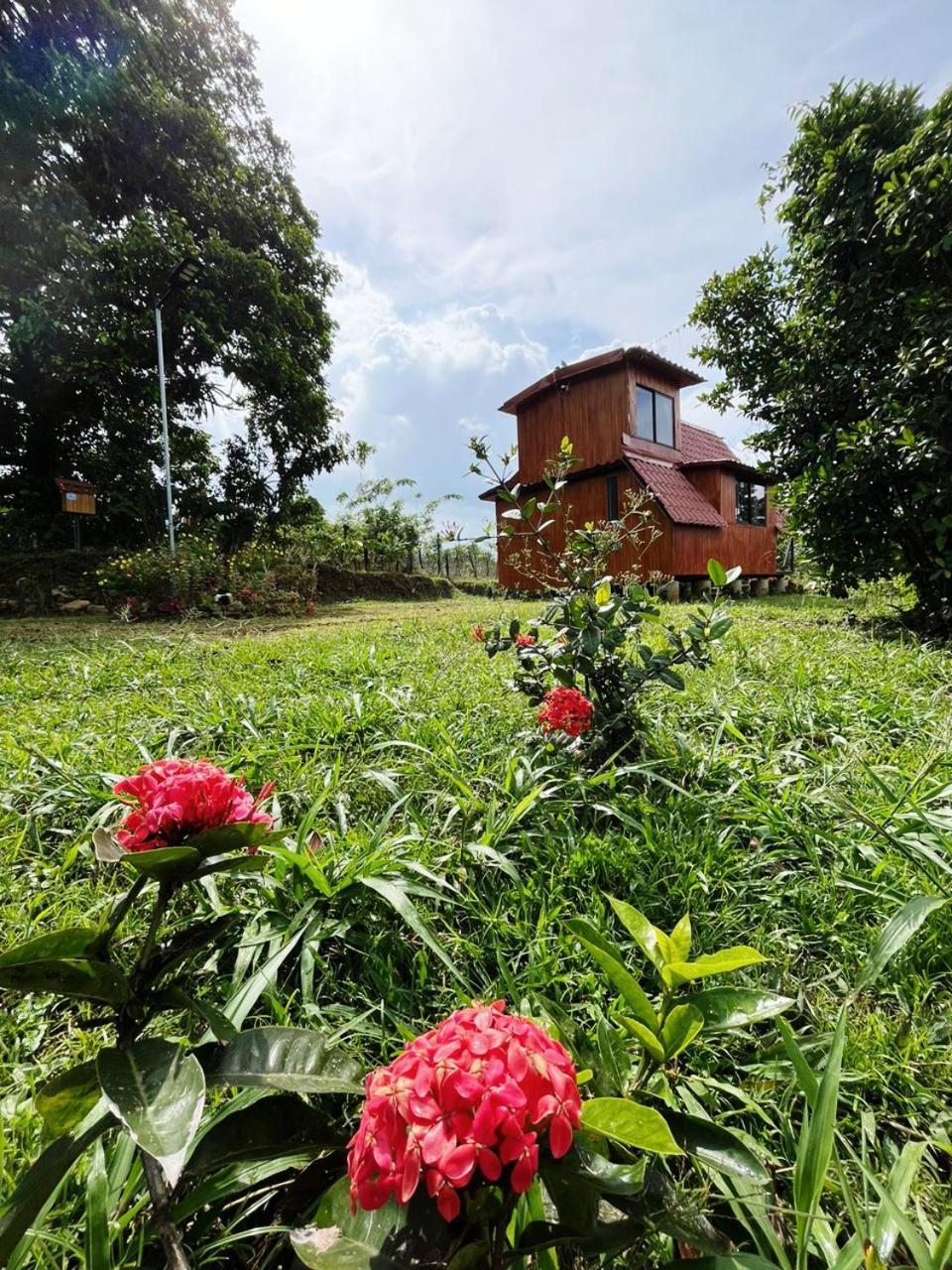 Myra Chalets Bijagua Extérieur photo